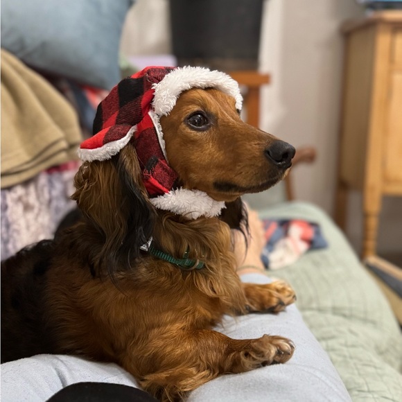 Meet your Posher, Janine - Picture 3 of 7